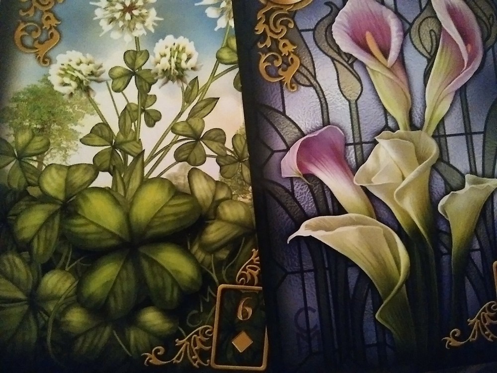Angel Card Reading
