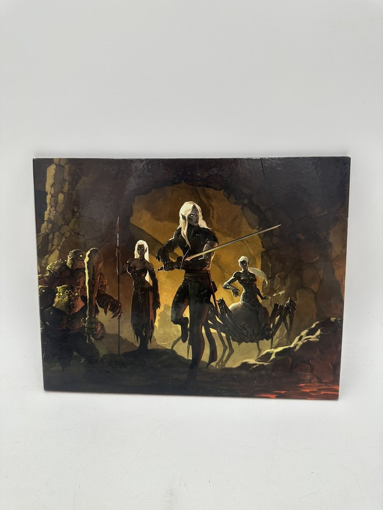 Dungeons & Dragons 4th Edition Drow Dungeon Master's Screen D&D Accessory