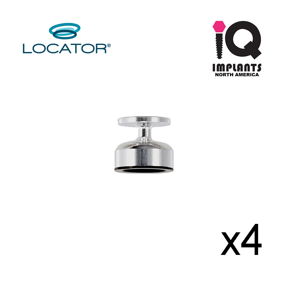 Locator by Zest Impression Coping (4 pack)