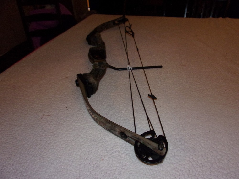 Hoyt Raptor Excel Compound Bow