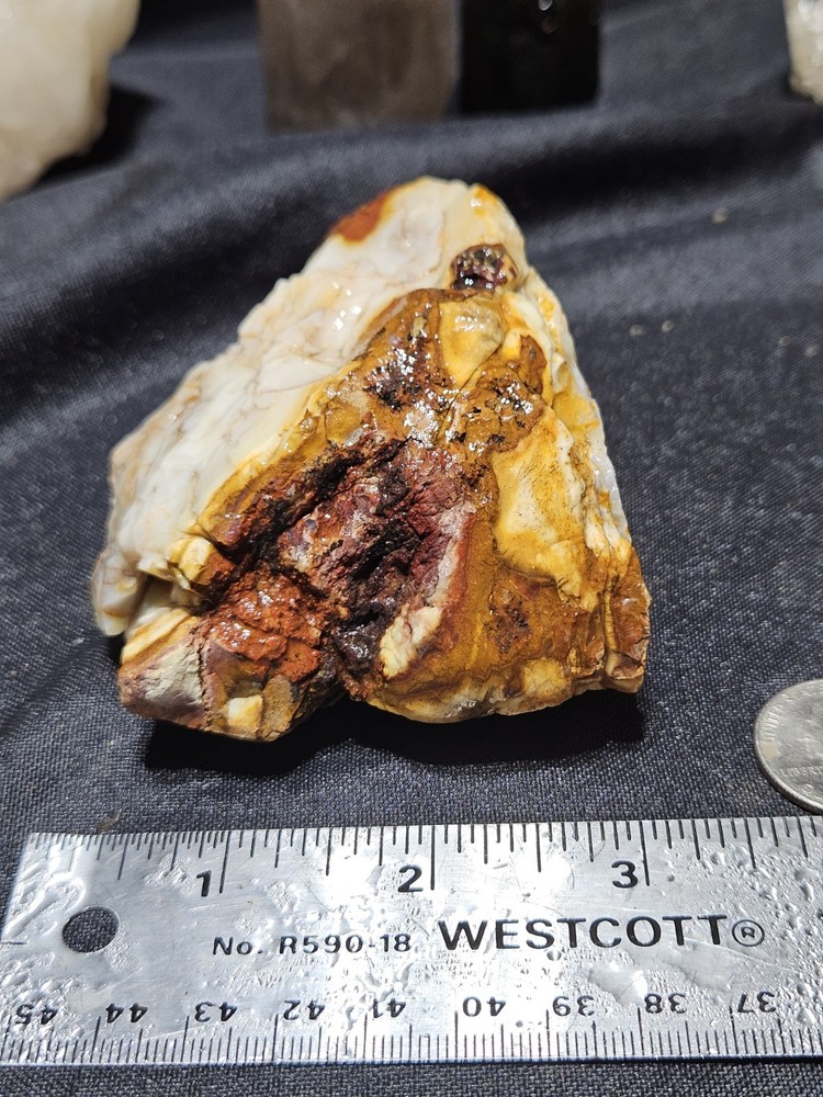 Petrified Wood Fully Opalized Natural Form (9.9oz)