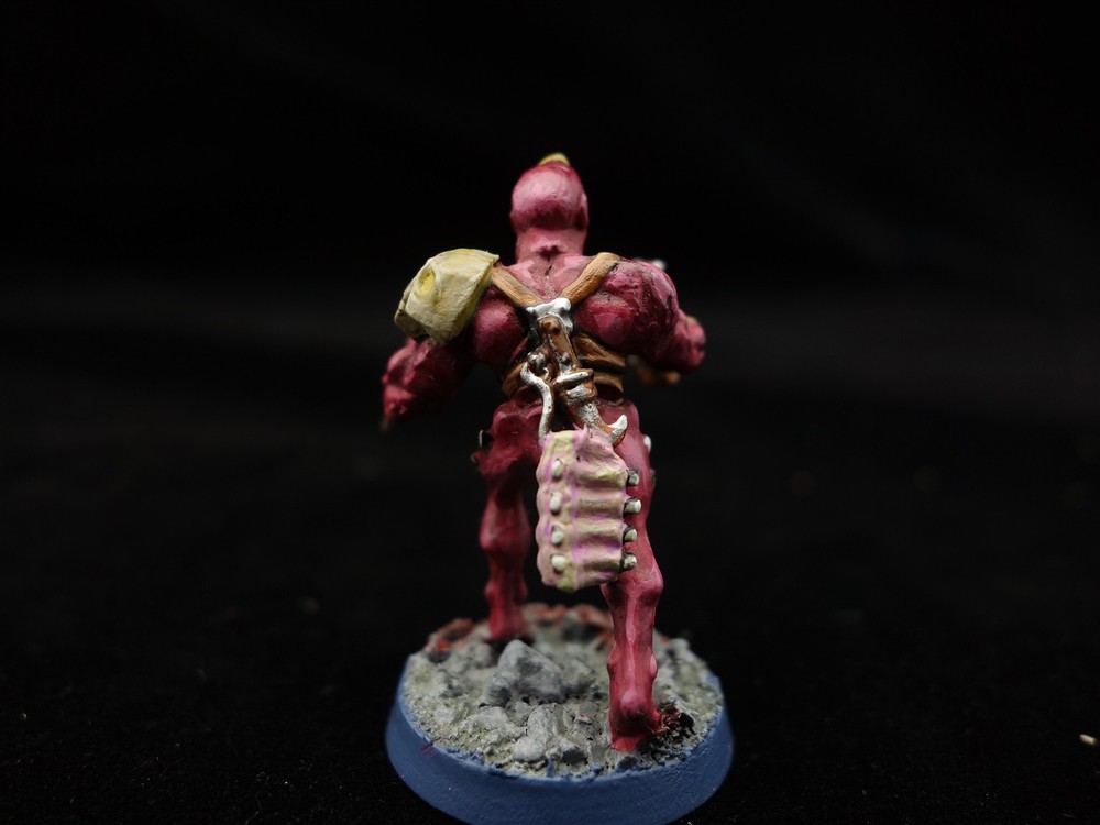 Warhammer 40K: Mutant Conversions (painted)