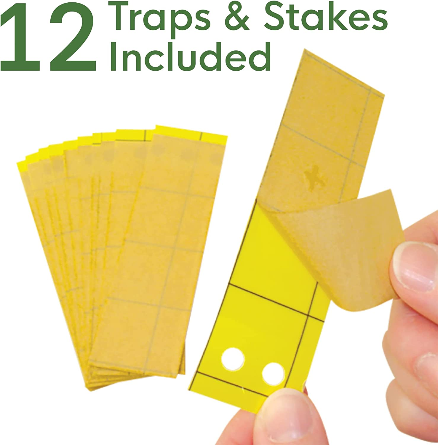 Biocare Gnat Stix for Fungus Gnats and Aphids, Pest Control for Plants and Green