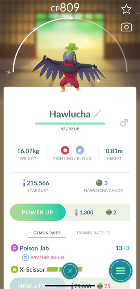 Shiny Hawlucha PTCs Read Description