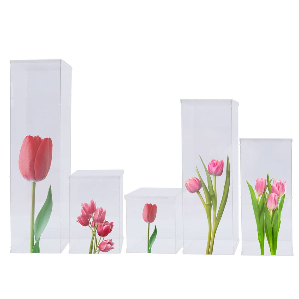 Acrylic Display Box Rectangular Floral Display Box Freestanding New 5 Pieces