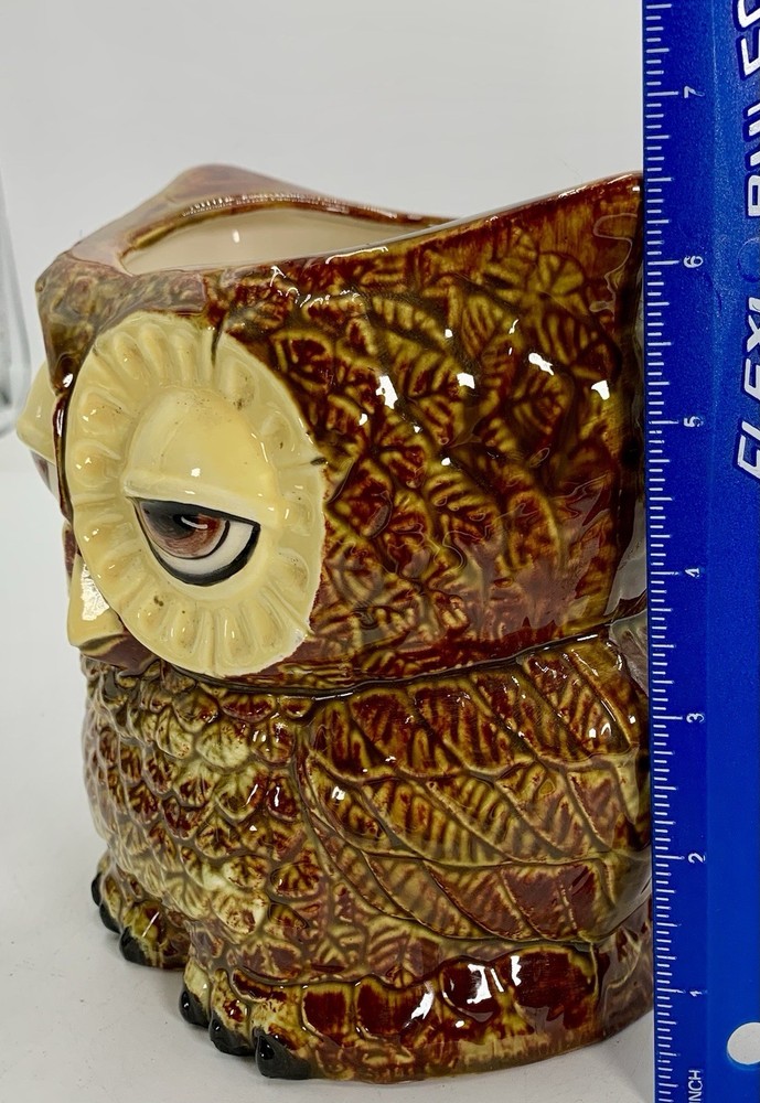 Claylicious Painted Ceramic Owl Planter Pot