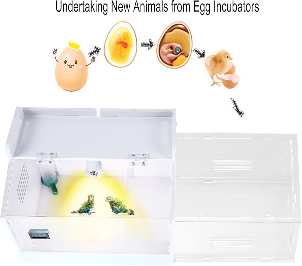Iarge-Scale Chick brooder Box Quail Cage Egg Incubator Chick Starter Kit Chicke
