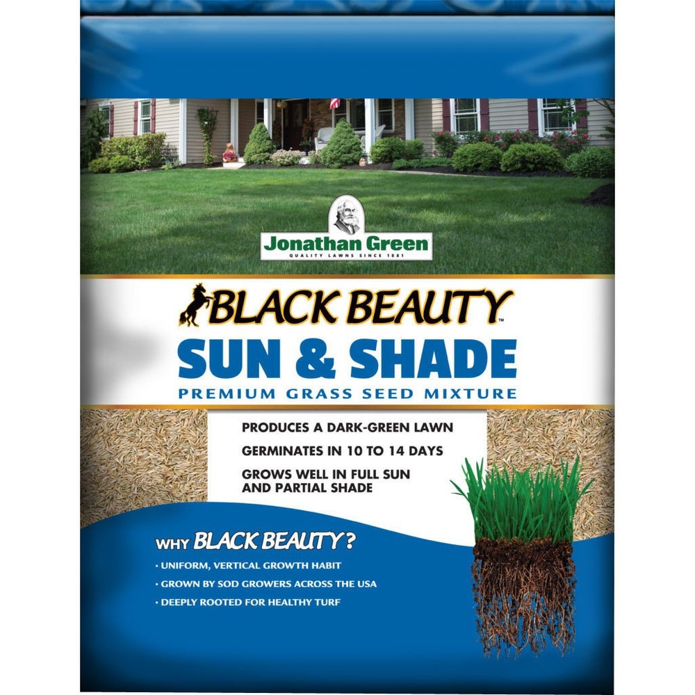 BLACK BEAUTY SUN & SHADE SEED MIX