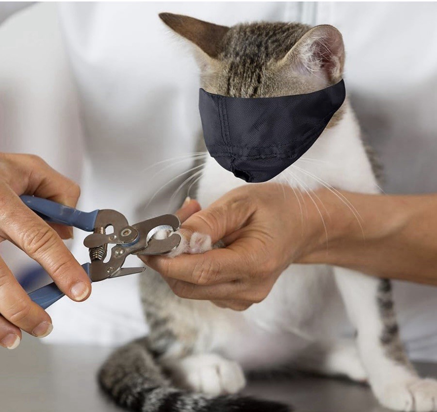 Durable Cat Grooming Bag & Muzzle* NO Scratching-Biting*Black Medium*