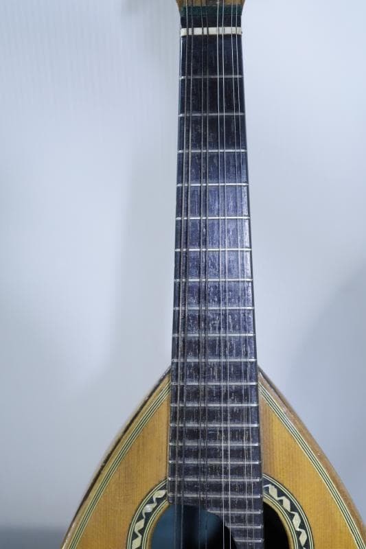 ◆Kunishima Mandolin No.106 ◆With hard case