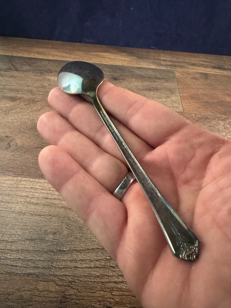 Holmes & Edwards Silverplated Teaspoon Spring Garden Pattern