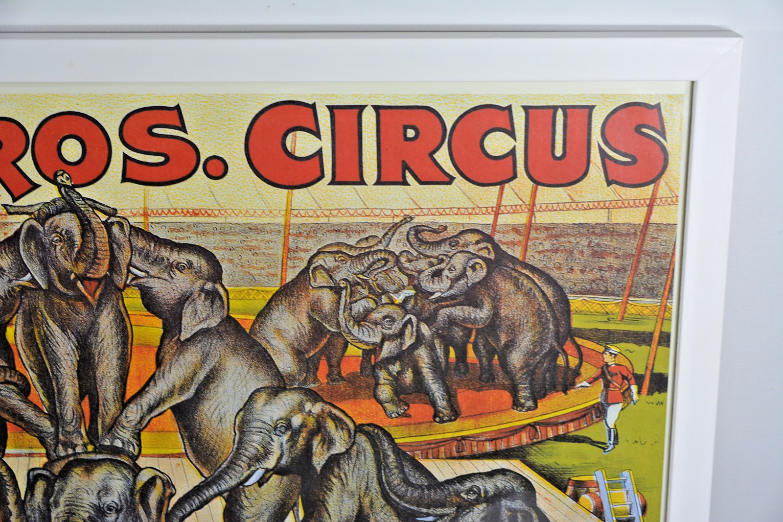 Cole Bros Circus Elephant Poster 1990s French Reproduction Professionally Framed