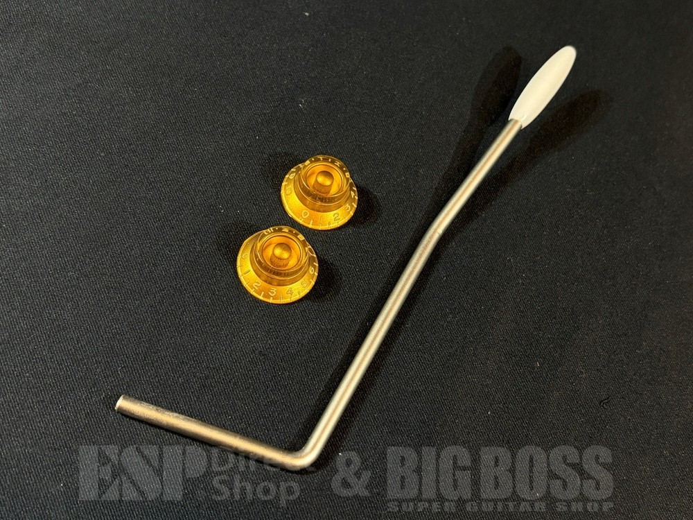 Itaria Guitars Monza