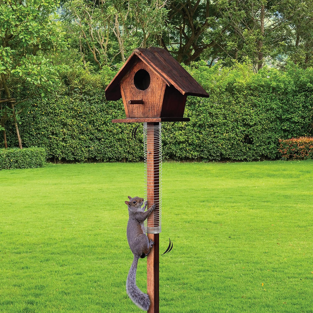 Scram, Squirrel by Slinky, Squirrel-Proof Bird Feeder Accessory That Guards Bird