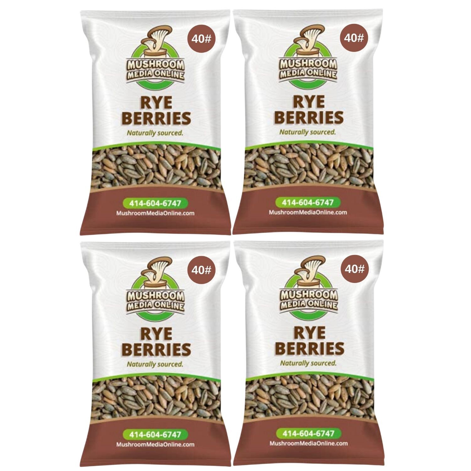 MushroomMediaOnline Whole Rye Berries
