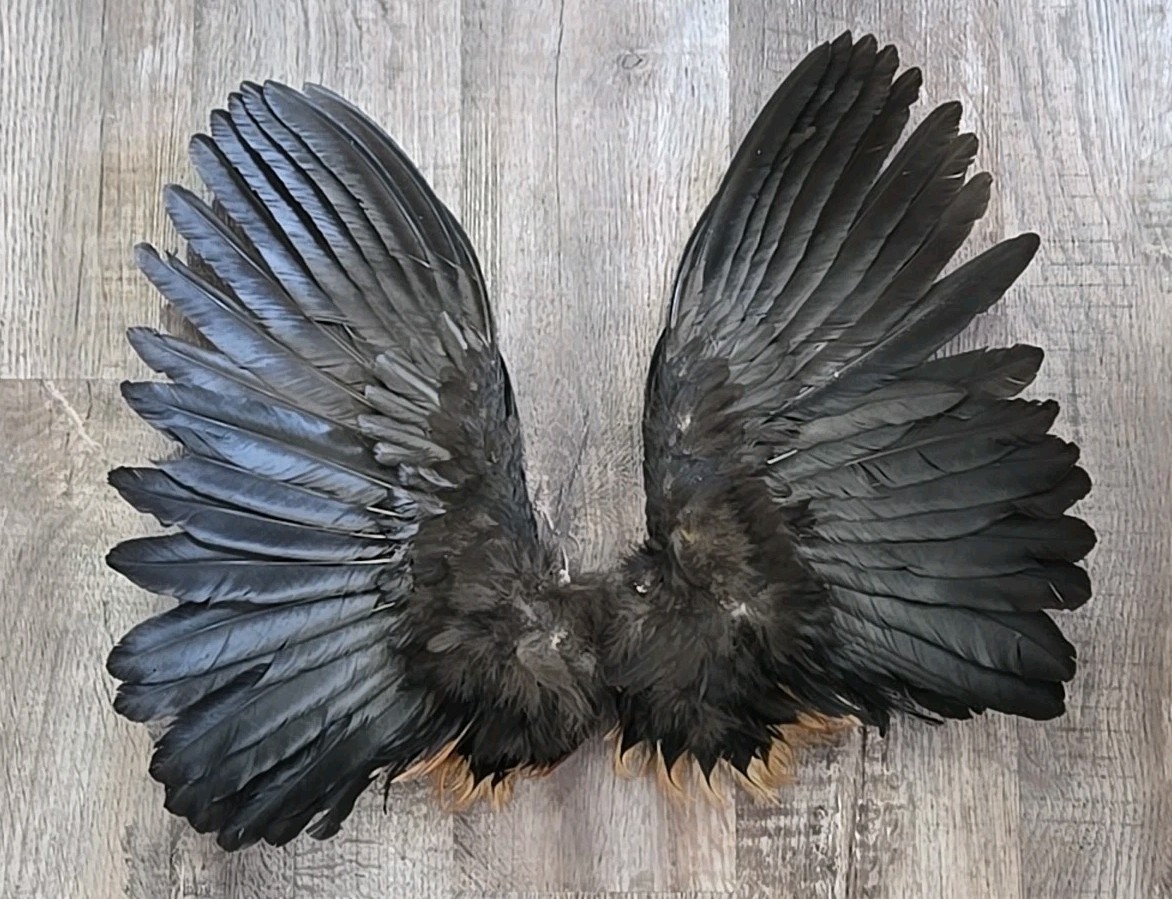 Red Brown Chicken Rooster Wings Craft Bird Fly Tying Feathers Taxidermy Material
