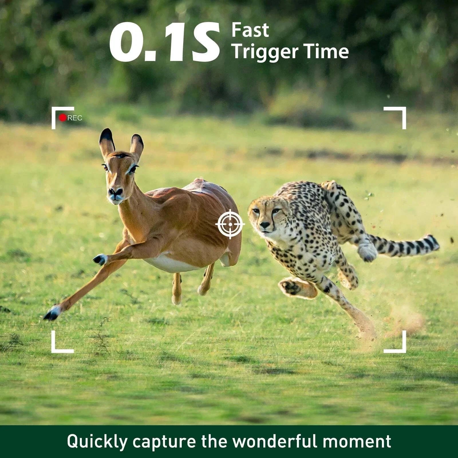 4 Pack Campark Mini 48MP Game Trail Deer Camera 4K Wildlife Hunting Game Cam