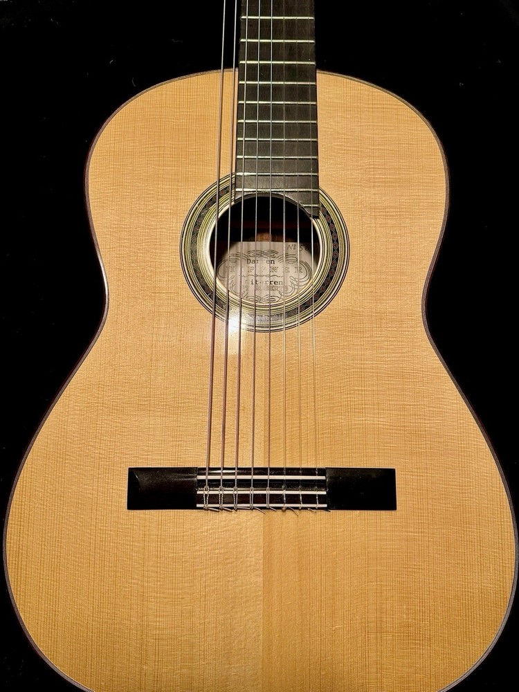 Hippner 8-String Classical Guitar – Engelmann Spruce & Brazilian