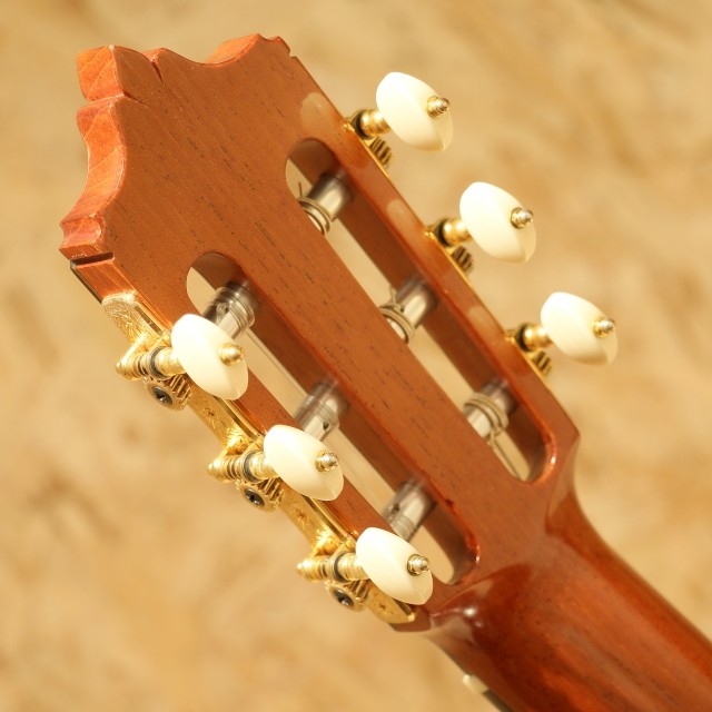 KUROSAWA TETSUO Special