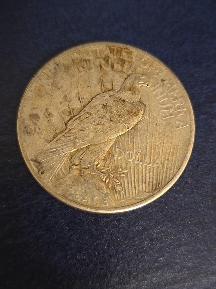 USA 1 dollar Peace Dollar 1925