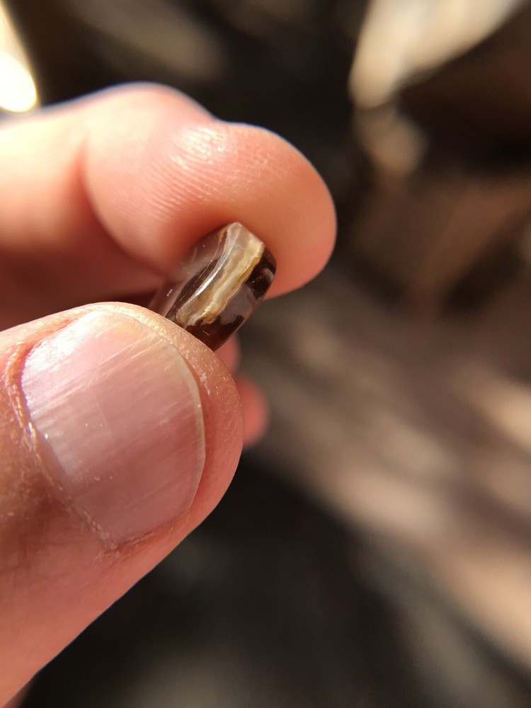 Deer Creek Fire Agate Cabochon