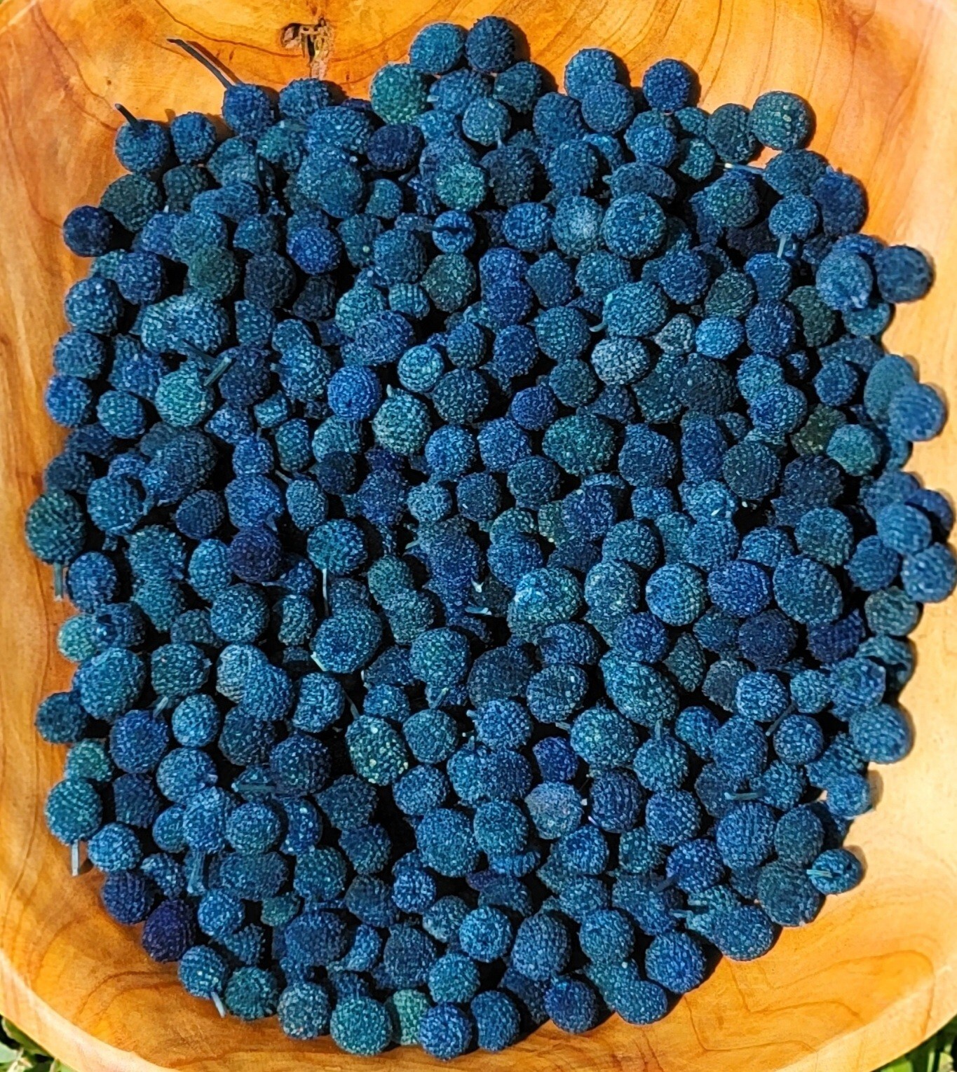 Dried Bora Berries/Jackie Berries, Potpourri Supplies, 12oz about 8 Cups, Blue
