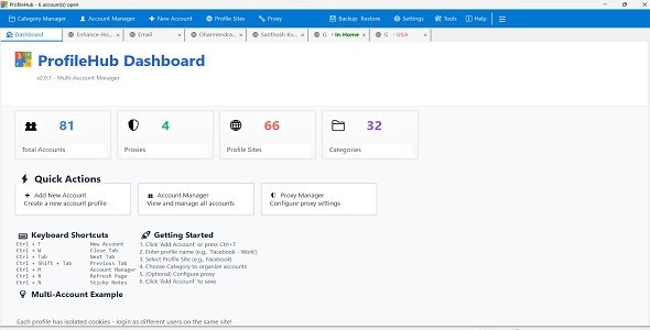 ProfileHub Multi Account Browser Manager Windows 10/11 Proxy Password Manager
