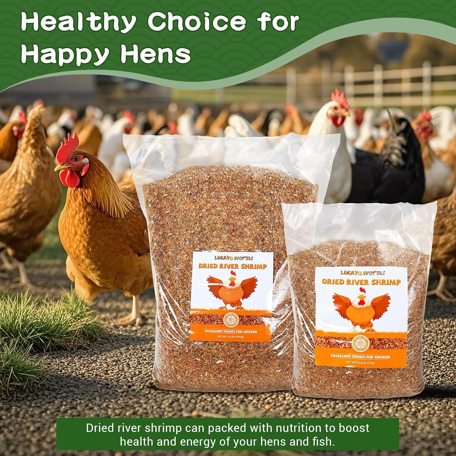 Dried River Shrimp High Protein Freeze Red Dried Shrimp All Natural Bird Food