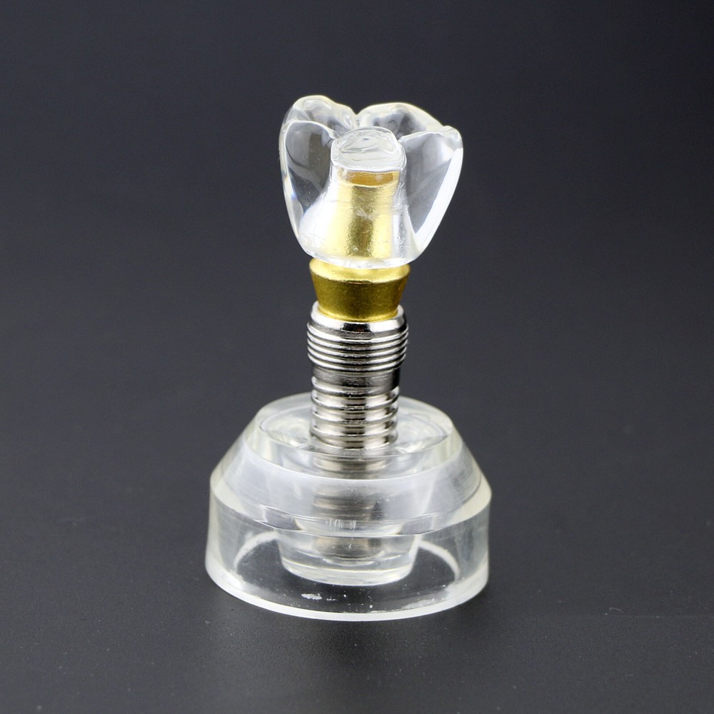 Dental Implant DemonstrationTeeth Study Teach Crown Model Acrylic Teeth Study