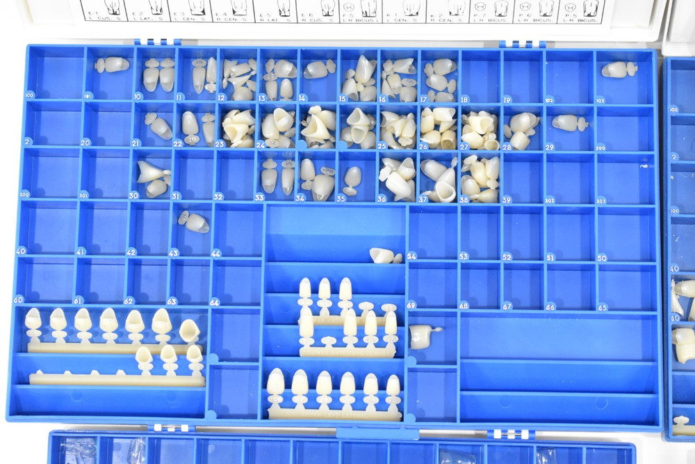 Dental Crowns Polycarbonate & Crown Forms Various Sizes in Organizer Boxes