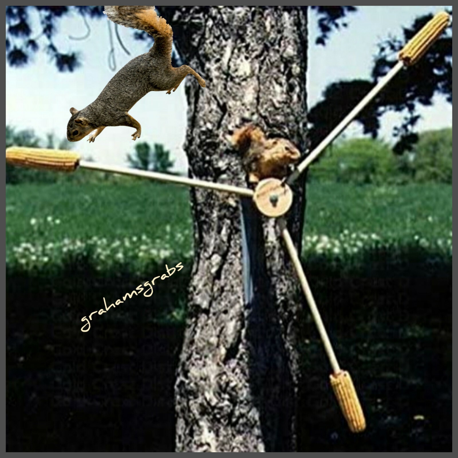 SQUIRREL A WHIRL TRIPLE SPINNER CORN FEEDER SONGBIRD ESSENTIALS SEWF2160