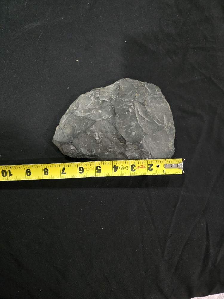 Large Flint Scraper. Rare Find, sharp rock