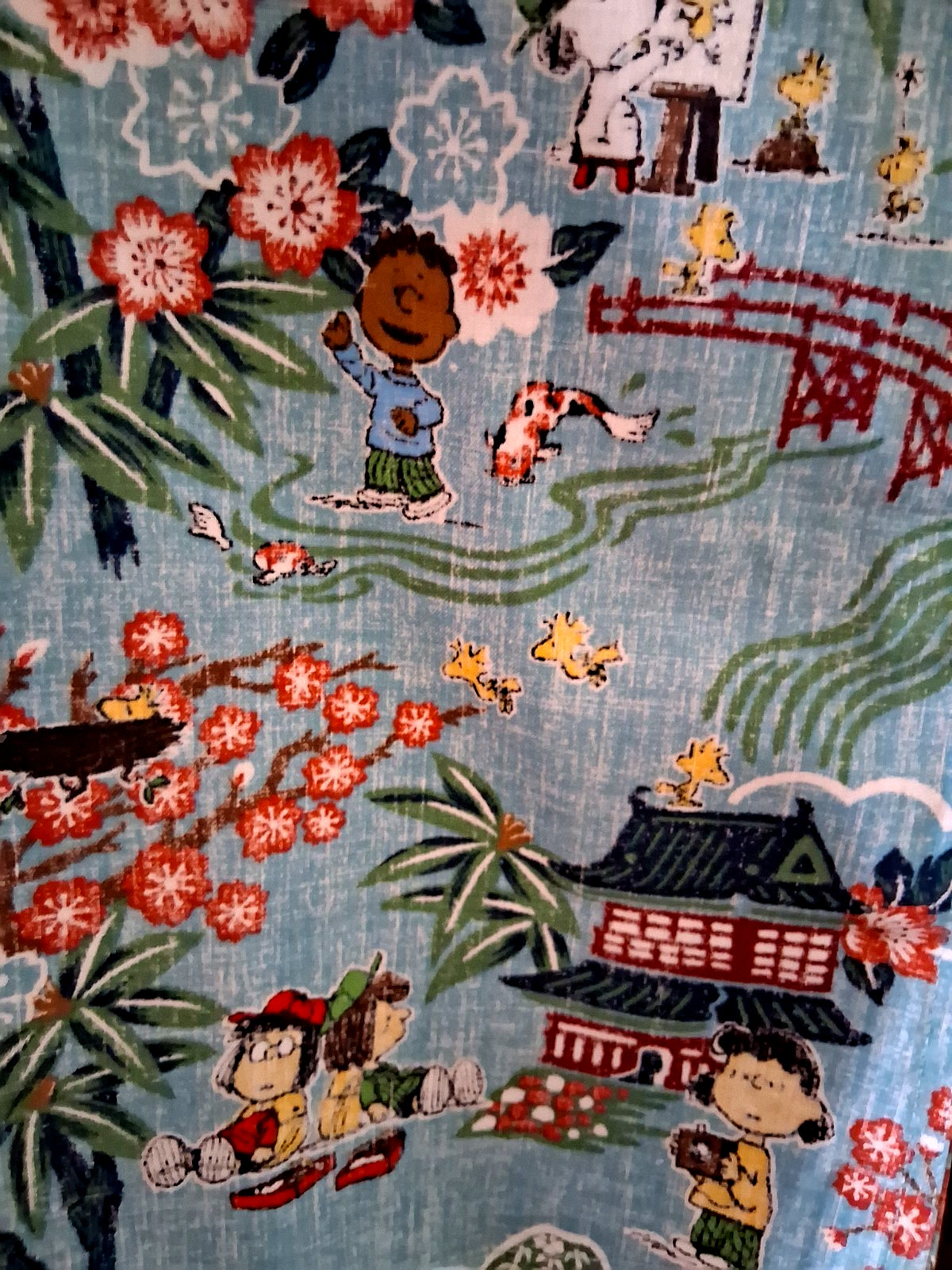 Reyn Spooner Peanuts in Japan Men's Aqua Button Front Shirt