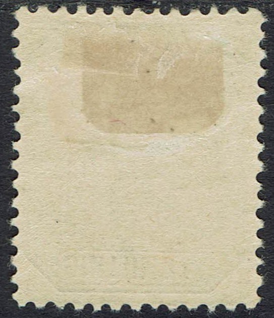 TRANSVAAL 1895 ARMS 10/-
