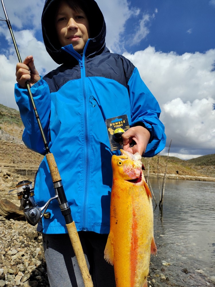 "Bumble Strike" All In One Fish Bite Indicator Pack 4 See & Hear Every Bite !!