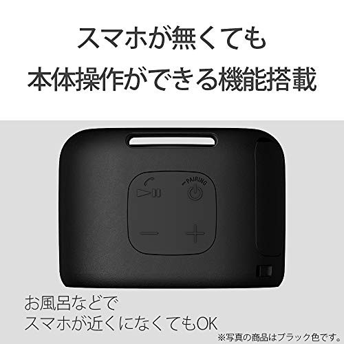 Sony Wireless Portable Speaker Waterproof Bluetooth with Microphone Black
