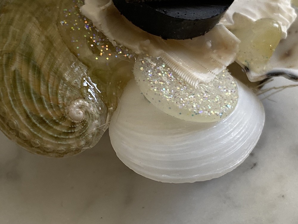 Florida Beach magnet coral shells seashell Sea Shell