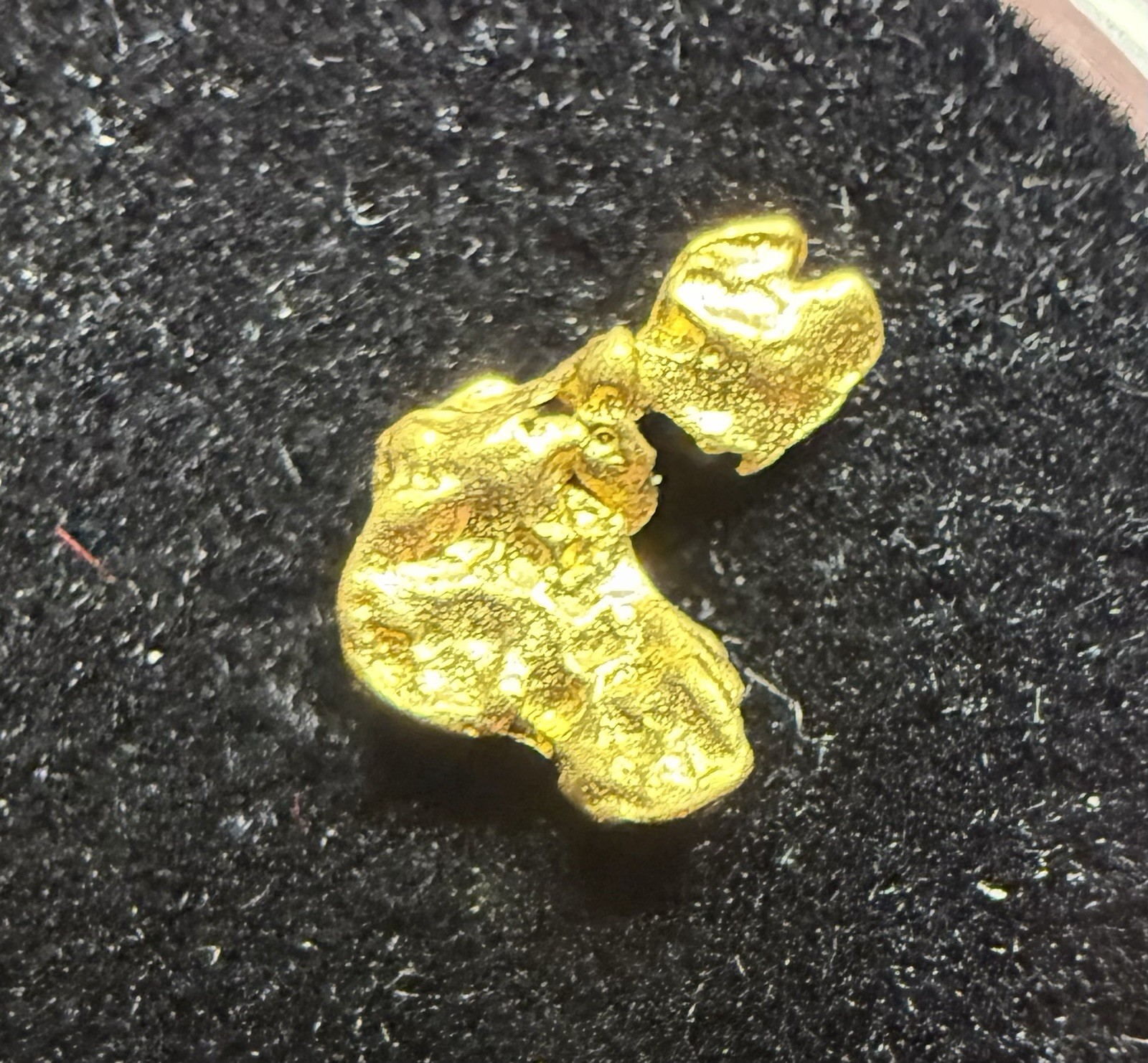 0.224 Grams Australia Gold Nugget - Quarter Not Included