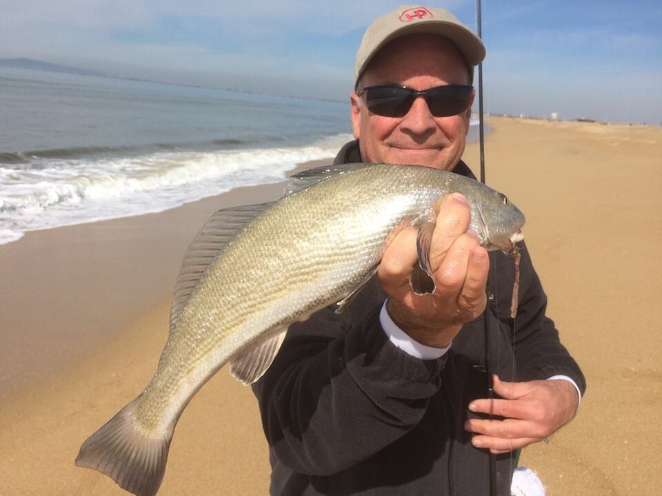 Sand Crab and Flea Catcher (Mini)