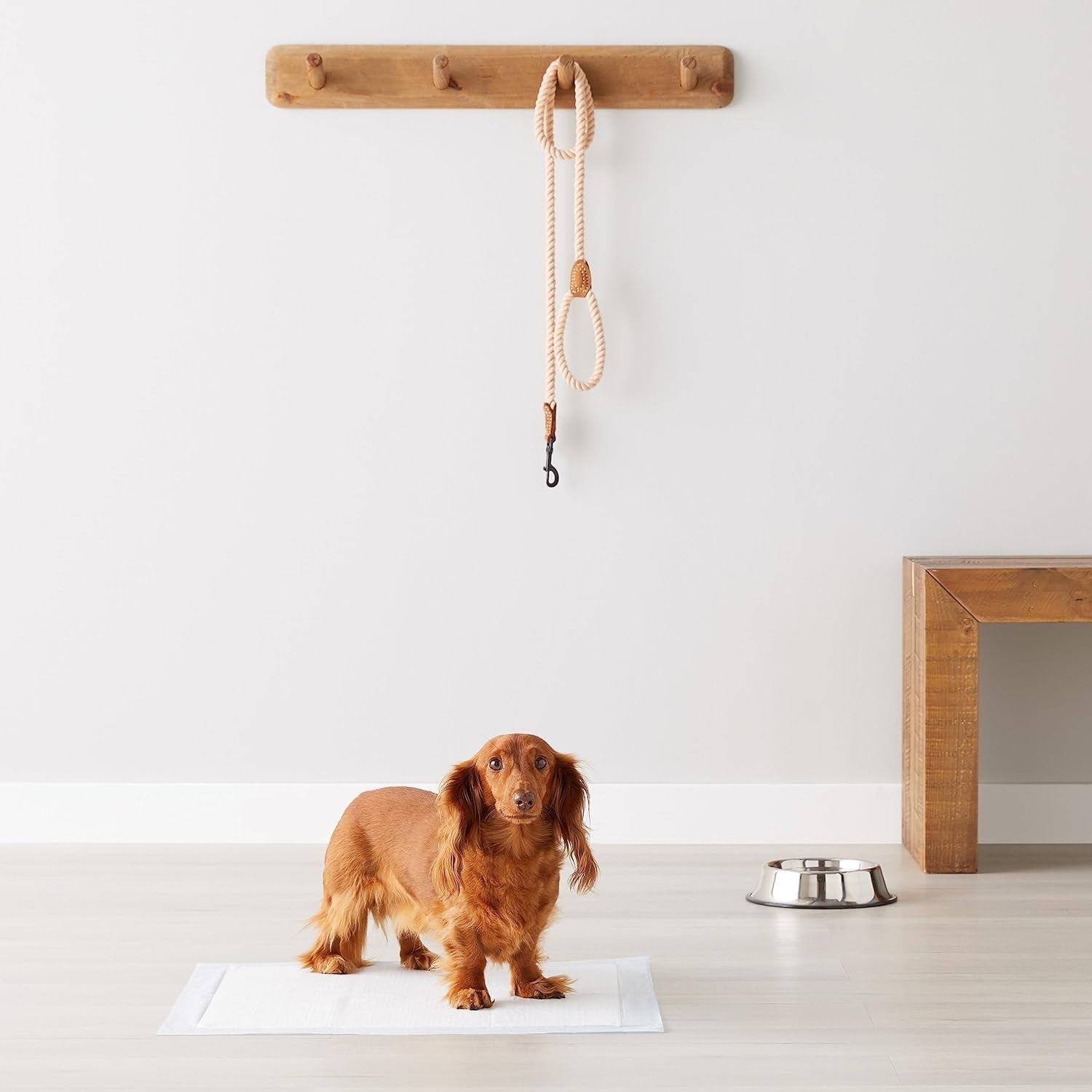 Dog Pee Pads Super Absorbent Puppy Pads 22x22 Dog Training Pads 40/80/120 Count