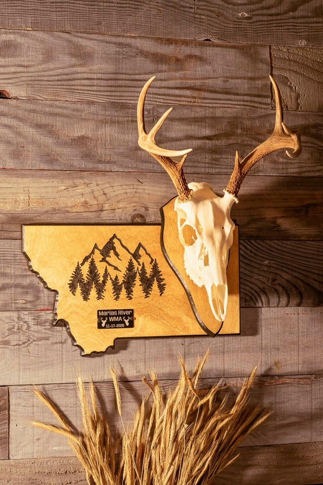 European skull state mount