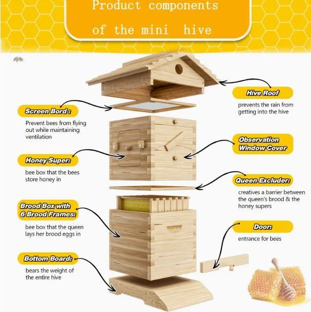 10X Auto Honey Hive Beehive Frames + Beekeeping Brood MINI 2 Layer Box House