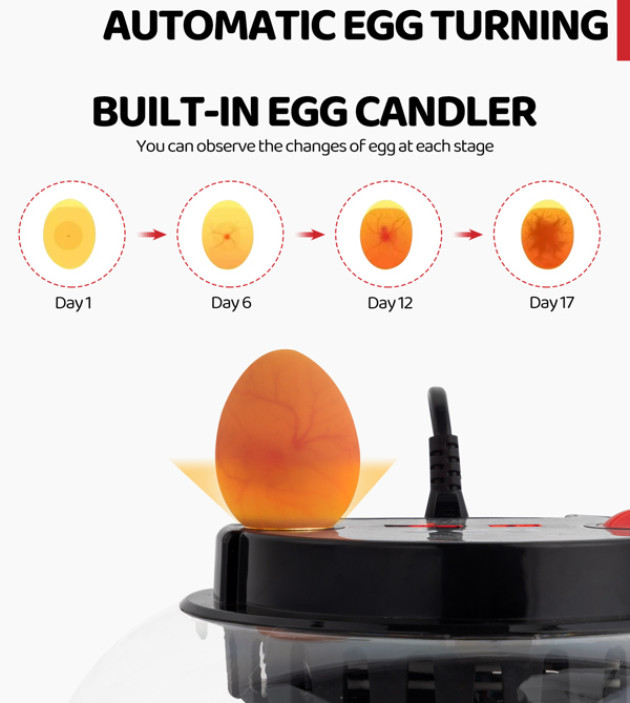 US 12 Egg Incubator with Automatic Egg Turning, Temperature and humidity Control