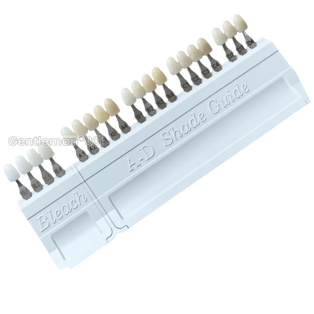 Dental Bleached A-D Shade Guide Bleached Chart Teeth Whitening Based Vita