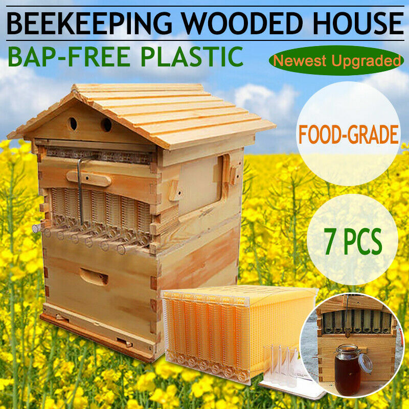 Beehive 7 Frames Complete Box Kit Bee Hives Auto Bee Frames + Beekeeping House