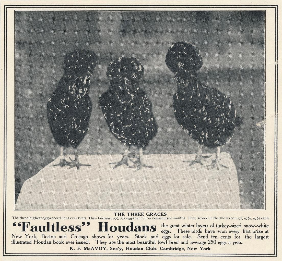 Magazine Ad - 1910 - Houdan Club Poultry Farm - Chicks - Cambridge, NY