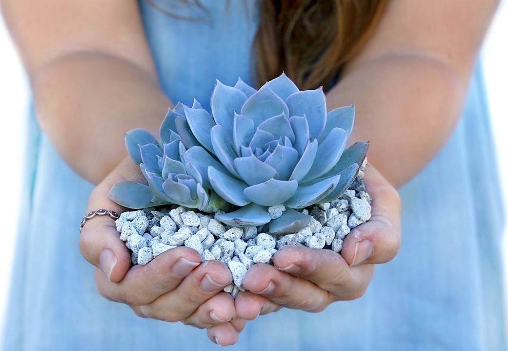 12lb. Bag Garden Pumice (3 Gallons) FREE SHIPPING!
