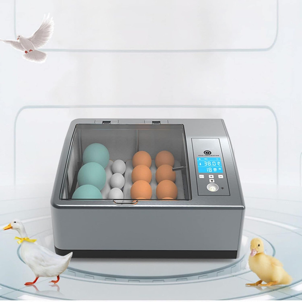 16 Chicken Egg Incubator,Mini Automatic Temperature Incubator, Fully Digital Hat