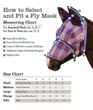 Kensington Fly Mask with Webbing Trim