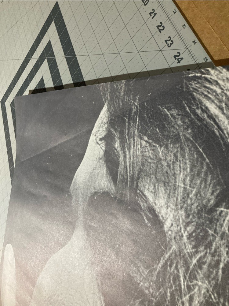 Tiny Tim 1969 Matte Poster M